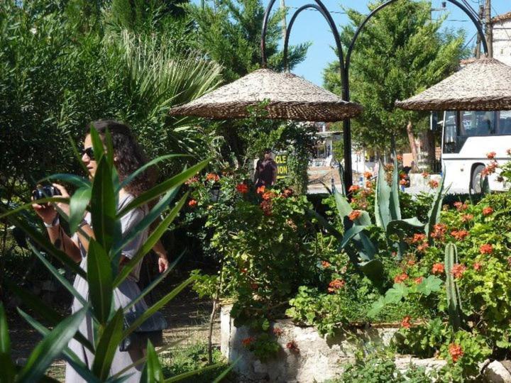 Medusa House Butik Hotel Didim Eksteriør billede