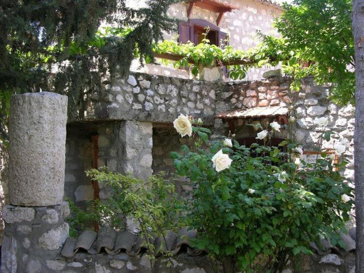 Medusa House Butik Hotel Didim Eksteriør billede