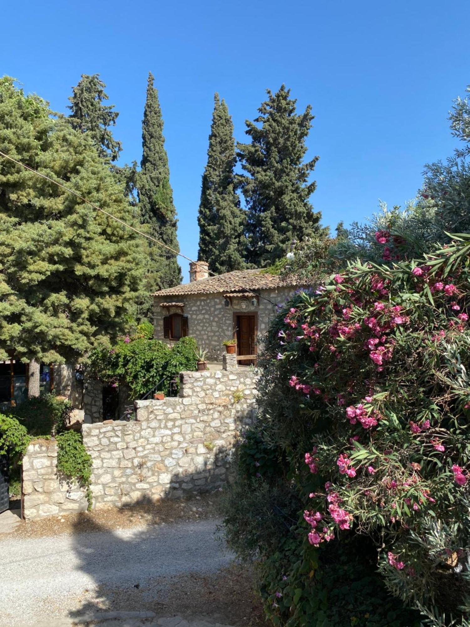 Medusa House Butik Hotel Didim Eksteriør billede