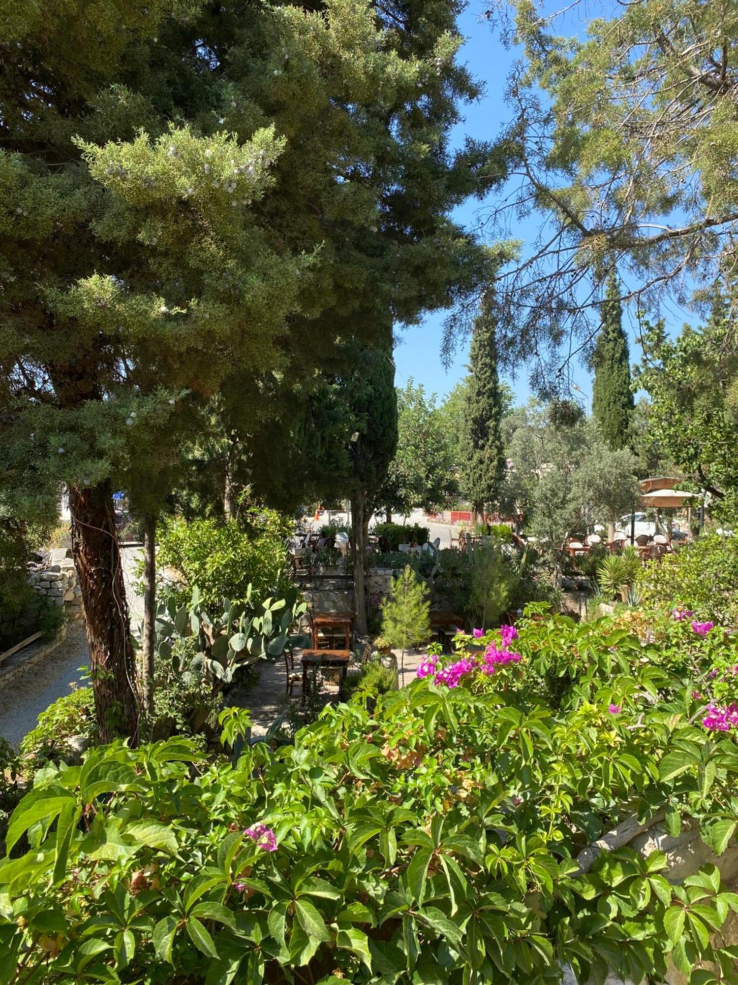 Medusa House Butik Hotel Didim Eksteriør billede