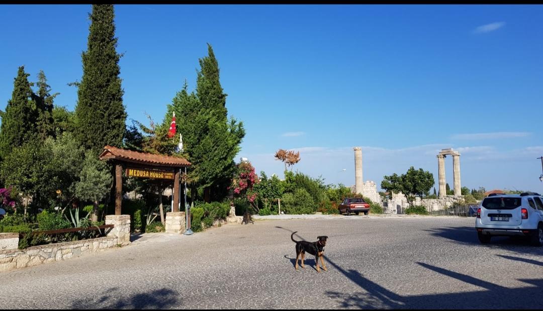 Medusa House Butik Hotel Didim Eksteriør billede